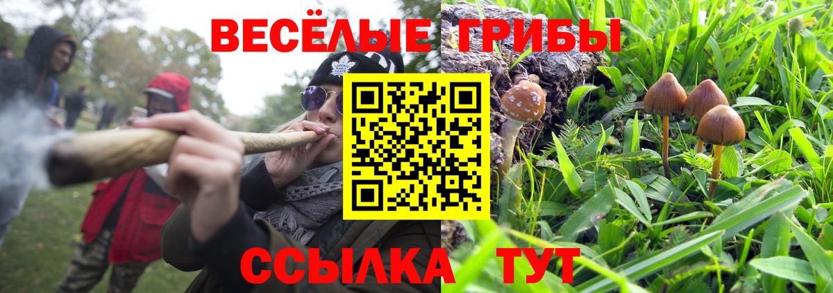 Гулькевичи  Галлюциногенные грибы Psilocybe  Псилоцибиновые грибы GOLDEN TEACHER  Вход с VPN 